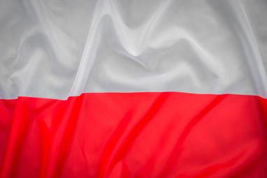 Українці в Польщі: чи індексуватимуть виплати на дітей
