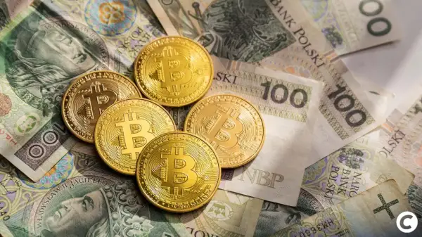 Zondacrypto: п’ятого підозрюваного звинуватили у справі на $94…
