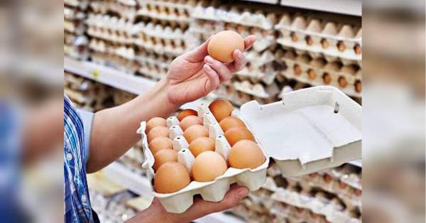 Українські виробники підвищили ціни на яйця на 20%