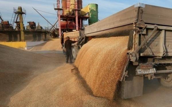 Україна у серпні поставила за кордон 14 мільйонів тонн агропродукції